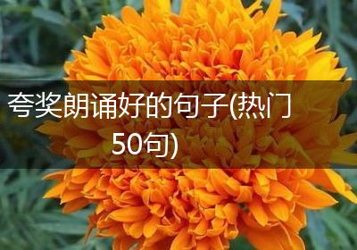 夸奖朗诵好的句子(热门50句)