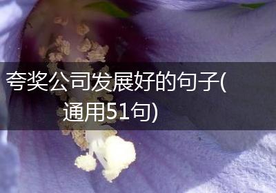 夸奖公司发展好的句子(通用51句)