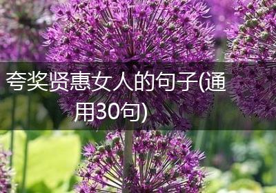 夸奖贤惠女人的句子(通用30句)