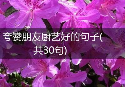 夸赞朋友厨艺好的句子(共30句)