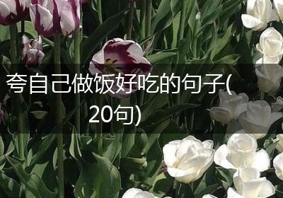 夸自己做饭好吃的句子(20句)