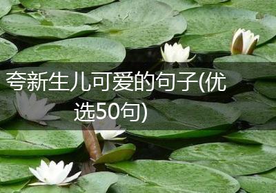夸新生儿可爱的句子(优选50句)
