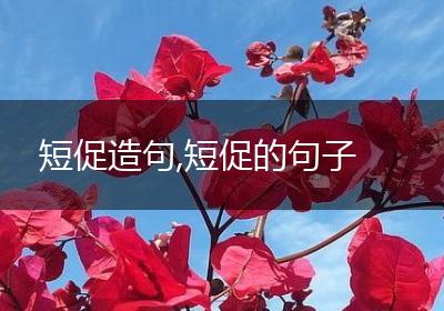 短促造句,短促的句子