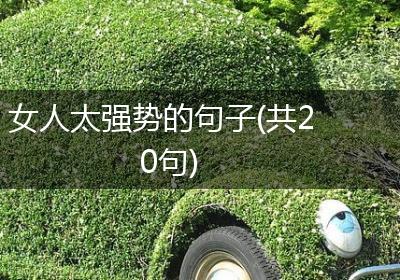 女人太强势的句子(共20句)