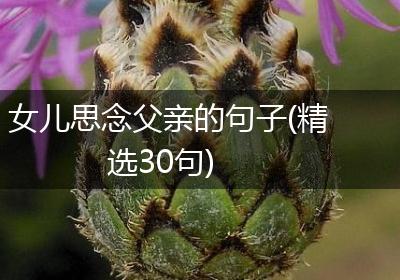 女儿思念父亲的句子(精选30句)