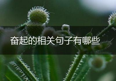 奋起的相关句子有哪些