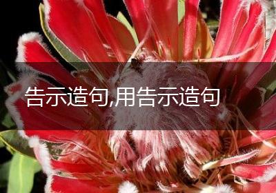 告示造句,用告示造句