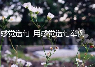 感觉造句_用感觉造句举例