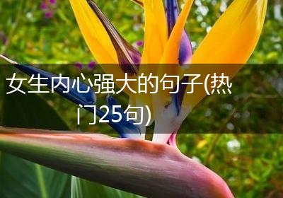 女生内心强大的句子(热门25句)