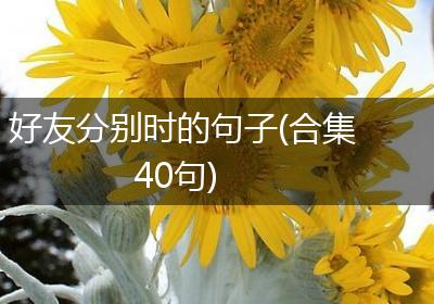 好友分别时的句子(合集40句)