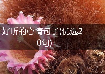 好听的心情句子(优选20句)