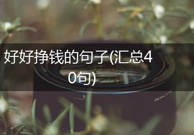 好好挣钱的句子(汇总40句)