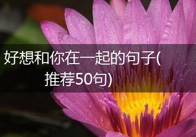 好想和你在一起的句子(推荐50句)