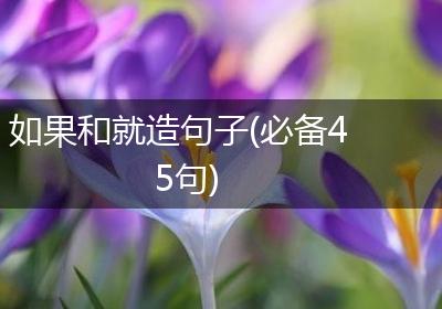 如果和就造句子(必备45句)
