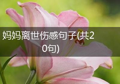 妈妈离世伤感句子(共20句)