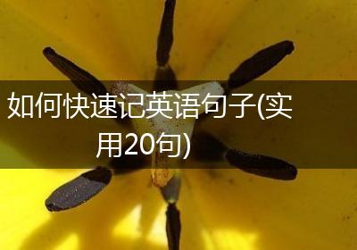 如何快速记英语句子(实用20句)