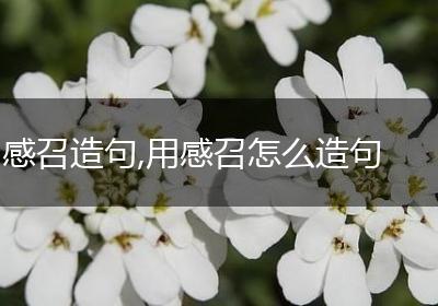 感召造句,用感召怎么造句