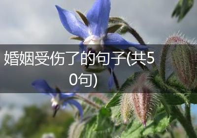 婚姻受伤了的句子(共50句)