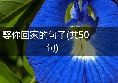 娶你回家的句子(共50句)
