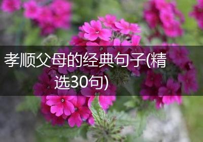 孝顺父母的经典句子(精选30句)