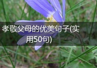 孝敬父母的优美句子(实用50句)