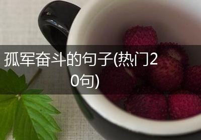 孤军奋斗的句子(热门20句)