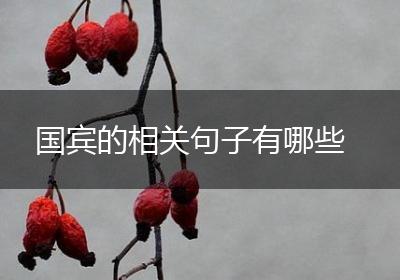 国宾的相关句子有哪些