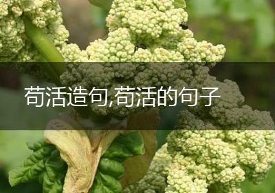 苟活造句,苟活的句子