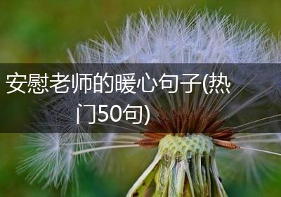 安慰老师的暖心句子(热门50句)