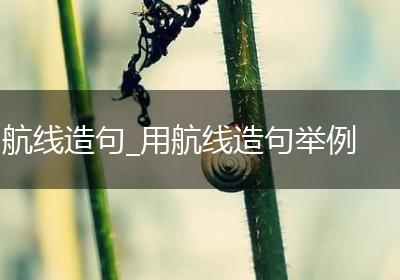 航线造句_用航线造句举例