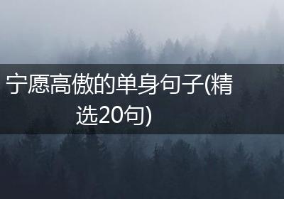 宁愿高傲的单身句子(精选20句)