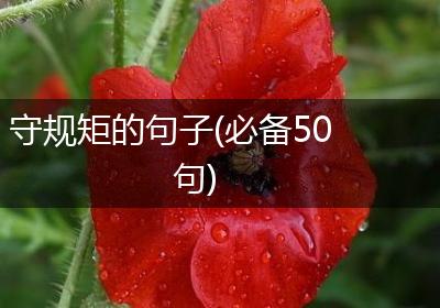 守规矩的句子(必备50句)