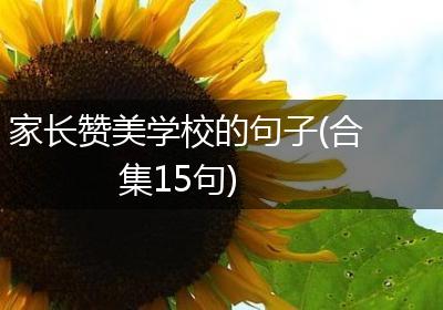家长赞美学校的句子(合集15句)