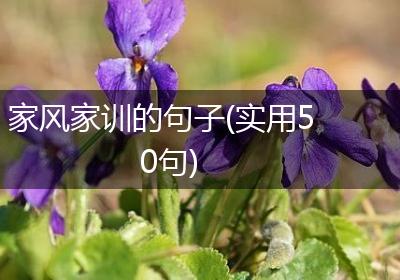 家风家训的句子(实用50句)