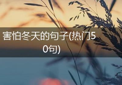 害怕冬天的句子(热门50句)