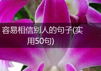 容易相信别人的句子(实用50句)