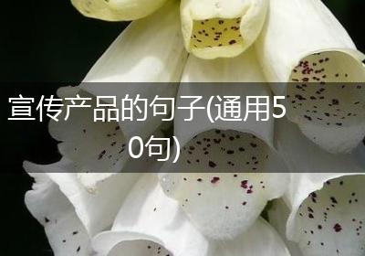 宣传产品的句子(通用50句)