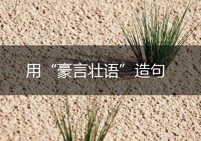 用“豪言壮语”造句