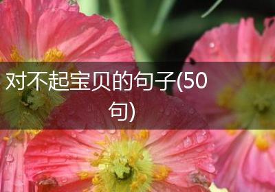 对不起宝贝的句子(50句)