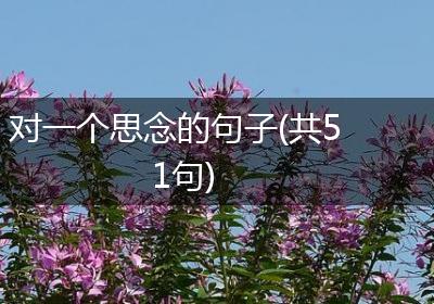 对一个思念的句子(共51句)