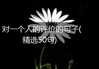 对一个人的评价的句子(精选50句)