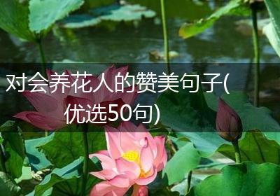 对会养花人的赞美句子(优选50句)