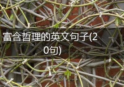 富含哲理的英文句子(20句)