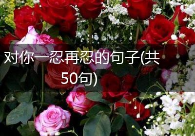 对你一忍再忍的句子(共50句)