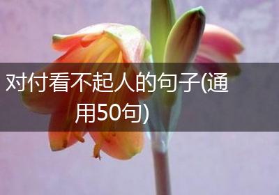 对付看不起人的句子(通用50句)