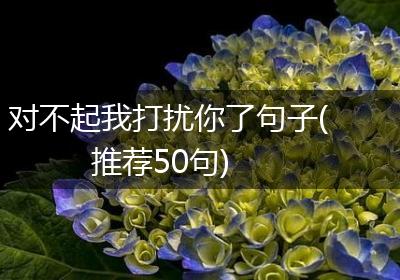对不起我打扰你了句子(推荐50句)
