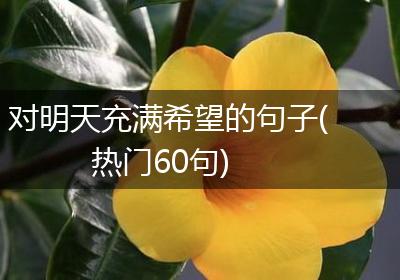 对明天充满希望的句子(热门60句)