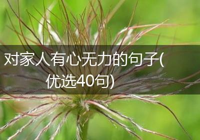 对家人有心无力的句子(优选40句)