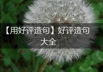 【用好评造句】好评造句大全