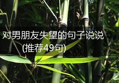 对男朋友失望的句子说说(推荐49句)